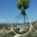 Lydia * Κατομέρι
