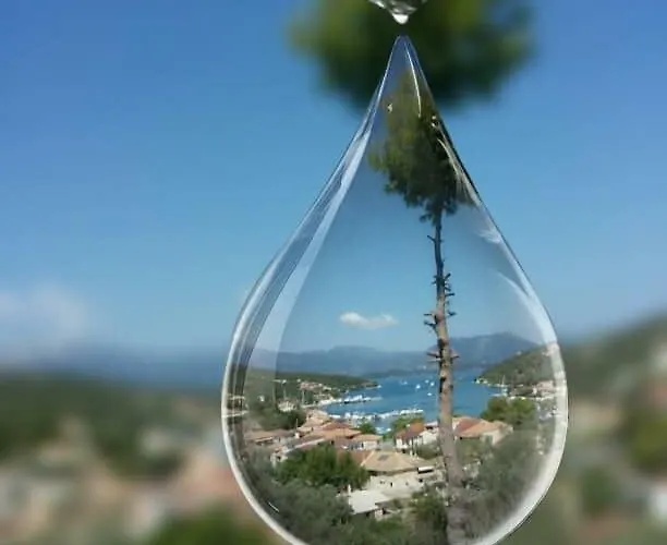 Lydia * Κατομέρι